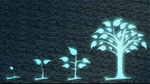 الشركات الناشئة المحلية