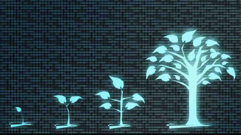 الشركات الناشئة المحلية