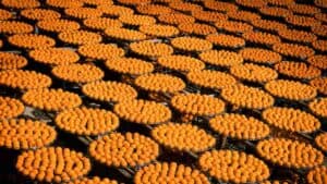 العدالة في الأجور والرواتب