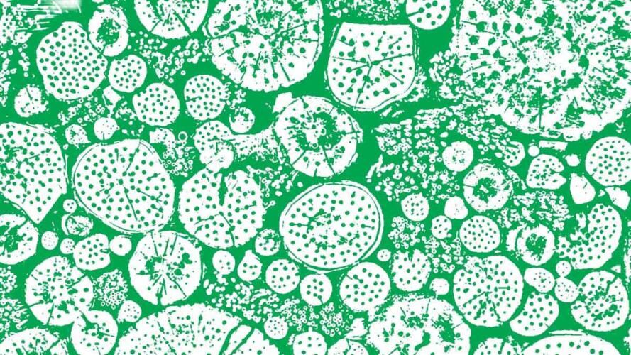 العصف الذهني في الفرق متعددة الثقافات