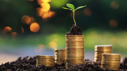 العمل الخيري