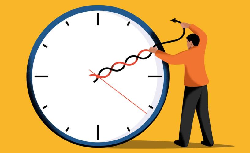 نهج العمل لمدة 4 أيام