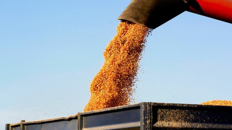 القطاعات التي تتسم بالطابع الرقمي