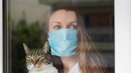 قوة الثقافة