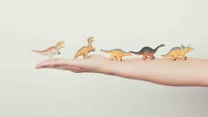 القيادة الحكيمة المتعاطفة