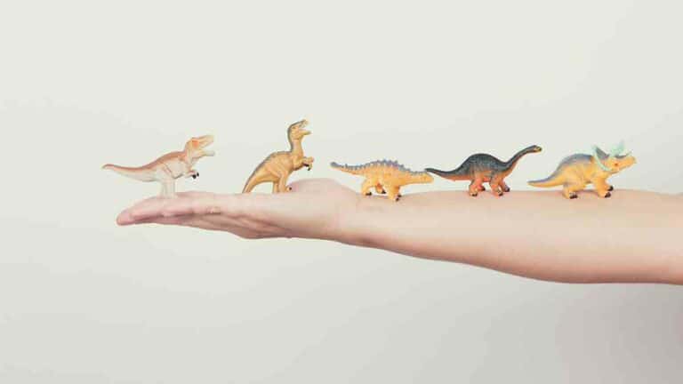 القيادة الحكيمة المتعاطفة