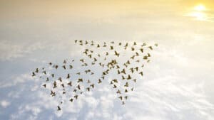 القيادة في حقبة ما بعد الجائحة