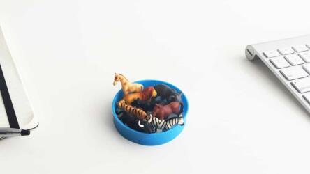 الحلقة القيادية