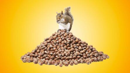 الضغط على فريقك