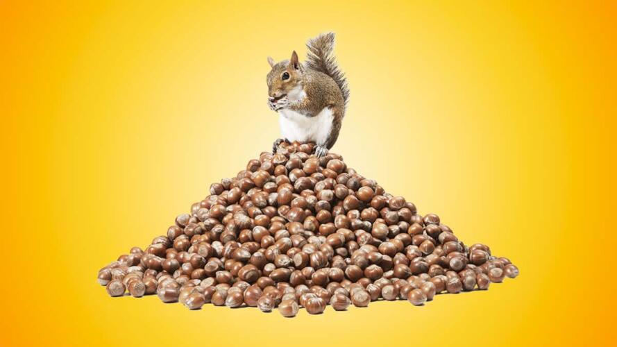 الضغط على فريقك