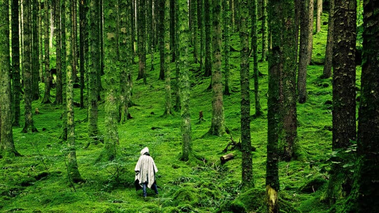 التخلي تماماً عن فكرة المبتكر العبقري المتفرد