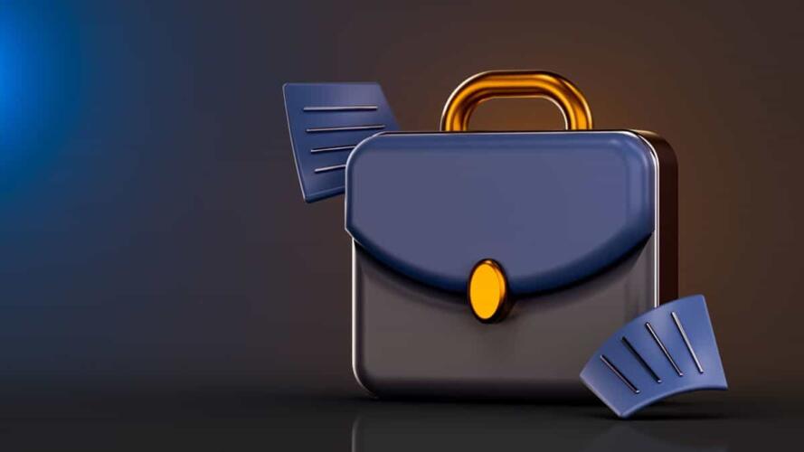 المحفظة المهنية