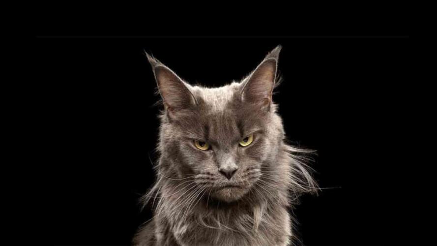 طرق تغيير المدراء الذين يعتمدون التخويف