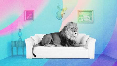 أسلوبك الخاص في القيادة