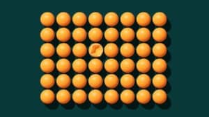 عملية تقييم المرشحين