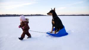 المشاريع الاستثمارية المشتركة