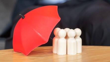 مدراء المظلة