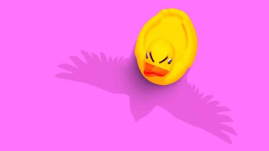 توليت مهاماً لا أرغب فيها