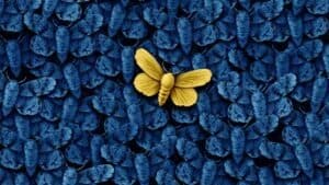 الموهوبون بالفطرة مقابل المجتهدين