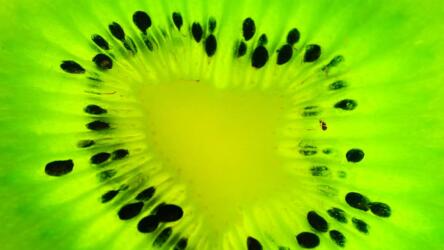 الوجبات الخفيفة