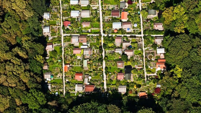 الوصول إلى تنمية اقتصادية شاملة