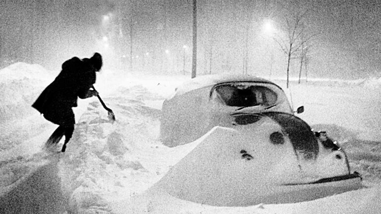 بدء المسيرة المهنية للخريجين