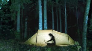 بناء ثقافة قوية عن بُعد