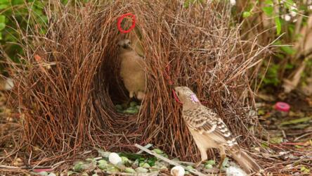 اجتماعات "افعلها" هي الأنسب لإنهاء بنود العمل المدرجة