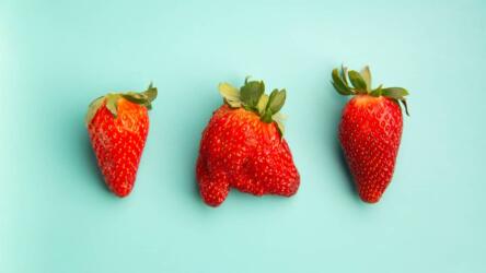 المنتوجات الزراعية