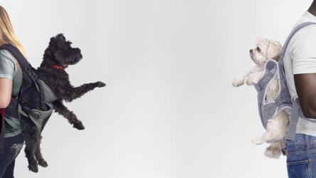 الالتقاء وجهاً لوجه