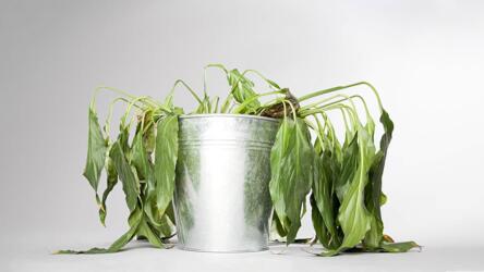 تحسين صحة الموظفين ورفاهتهم