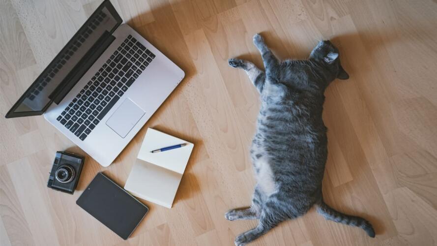 تحفيز فريق العمل عن بعد