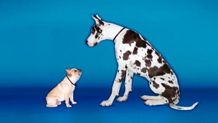 تعزيز الابتكار في الشركة