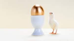 تعزيز فعالية الموظفين