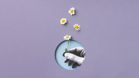 الضرر الأخلاقي