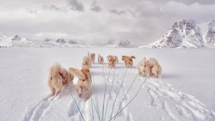 تعزيز الشعور بالانتماء بين الموظفين