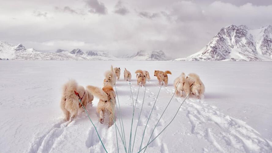 تعزيز الشعور بالانتماء بين الموظفين