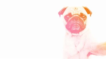 ما يريد جيل الألفية الحصول عليه في العمل