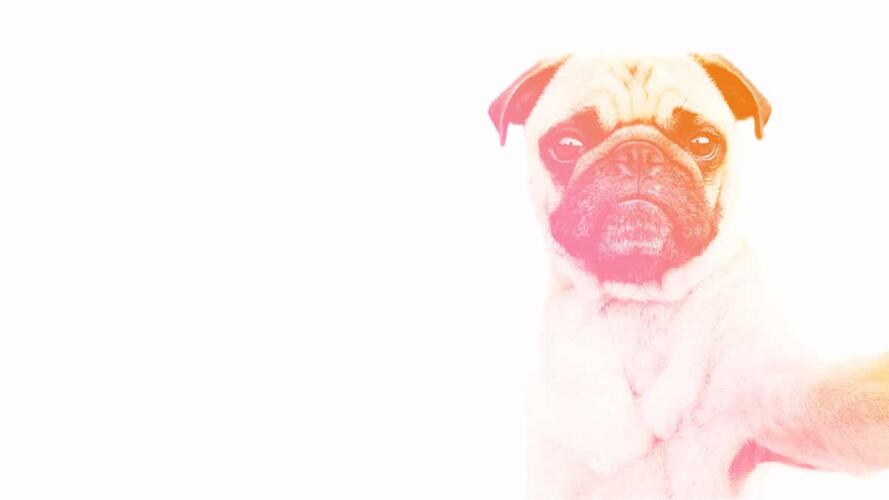 ما يريد جيل الألفية الحصول عليه في العمل