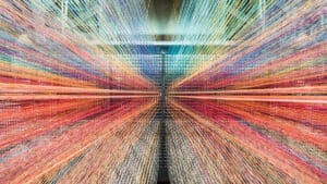 أهمية الربط بين الخبراء