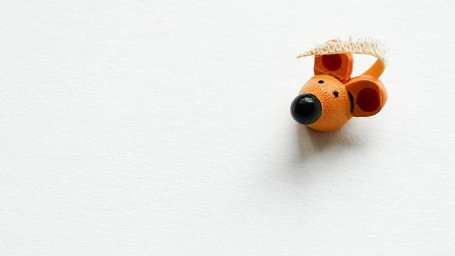 حرية التعبير لدى الموظف