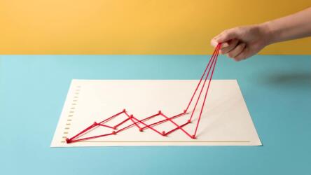 الاستفادة من خبرات المؤسسات غير الربحية