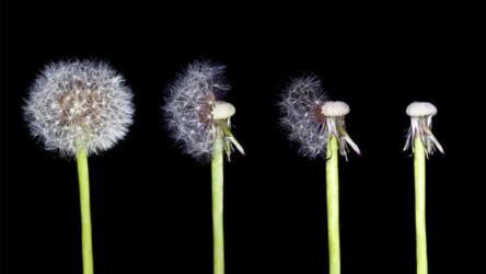 دعم الصحة العقلية للموظفين