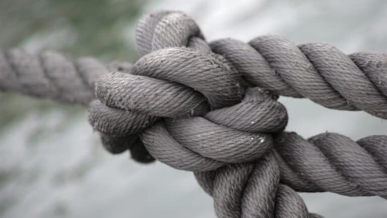 دعم الزملاء للإفصاح عن مشاعرهم