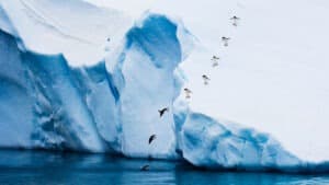 رحيل موظف نجم ومتميز