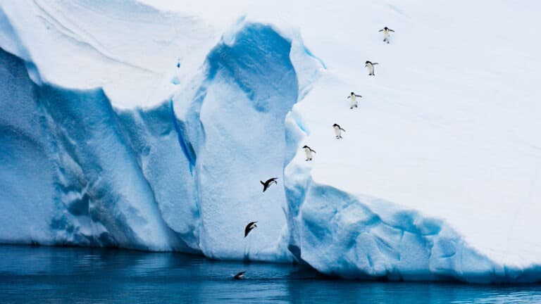 رحيل موظف نجم ومتميز