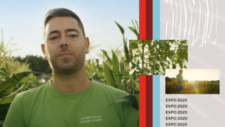 مزرعة الإمارات العضوية