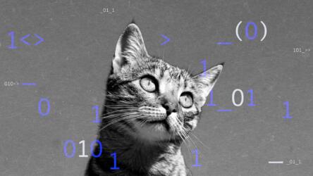 مواجهة الشركات لمعضلة التقليد والموارد المستخدمة ضدها