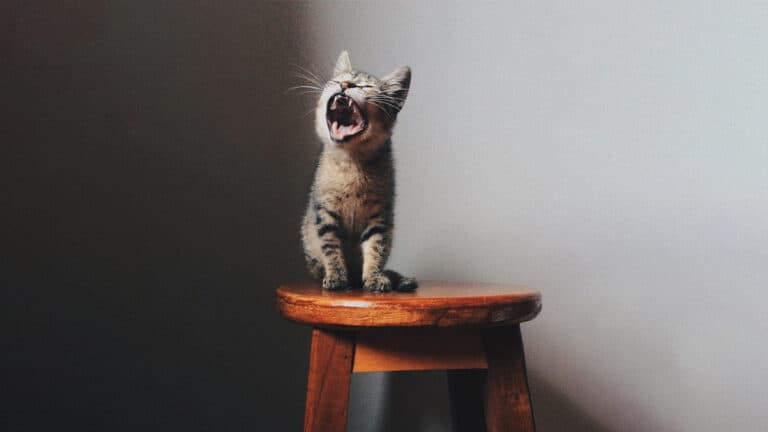 التعامل مع المتذمرين في مكان العمل