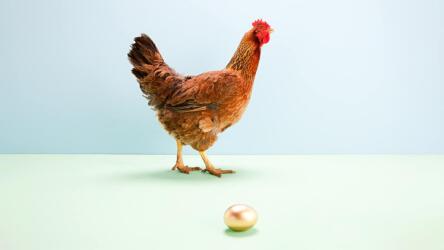 أفضل أساليب صناعة القيمة في الشركات